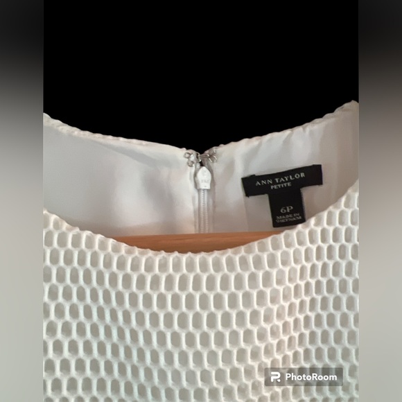 6P Ann Taylor Mesh Panel Dress - Picture 6 of 9